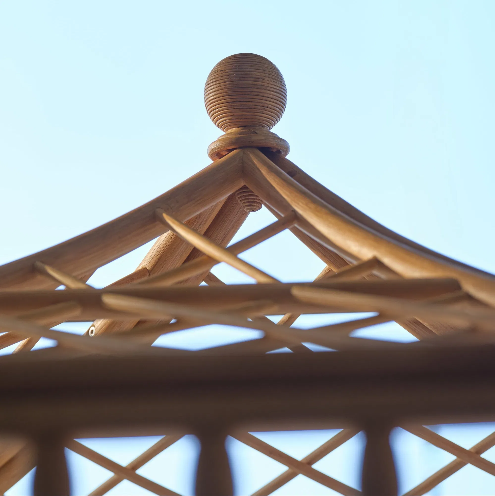 Trellis Rattan Canopy Bed