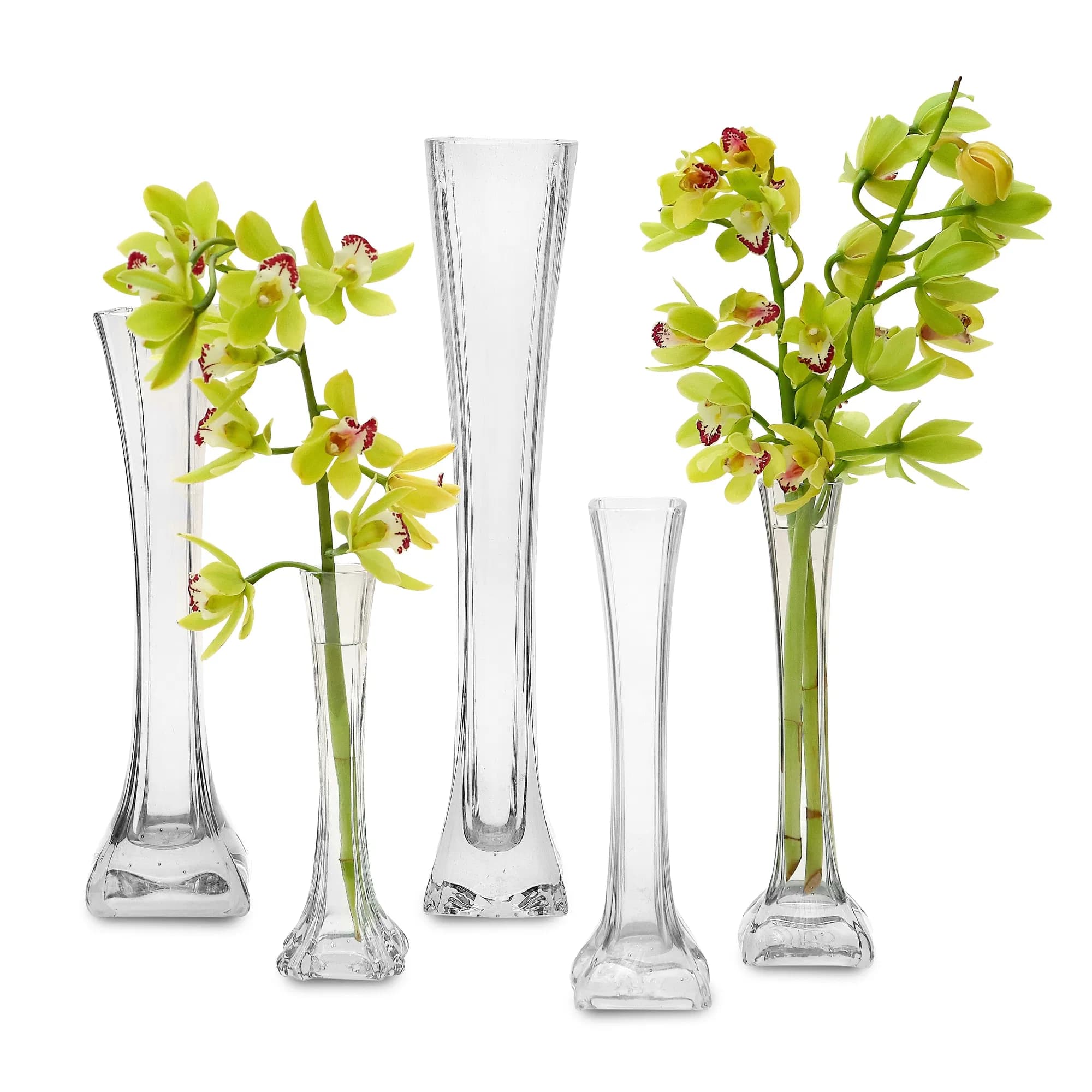 Lily Hand-Blown Clear Glass Vases Set of Five